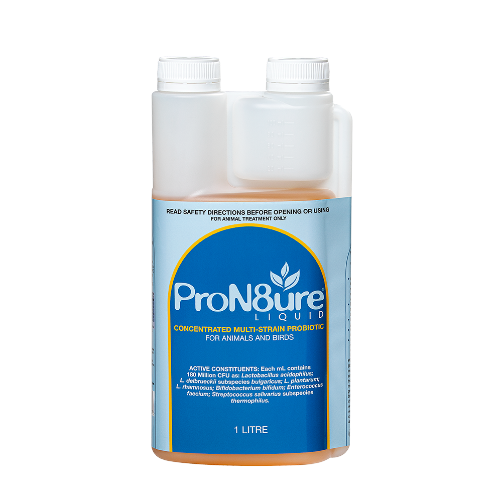 ProN8ure-Liquid Horse Probiotic Liquid in 1L Bottle