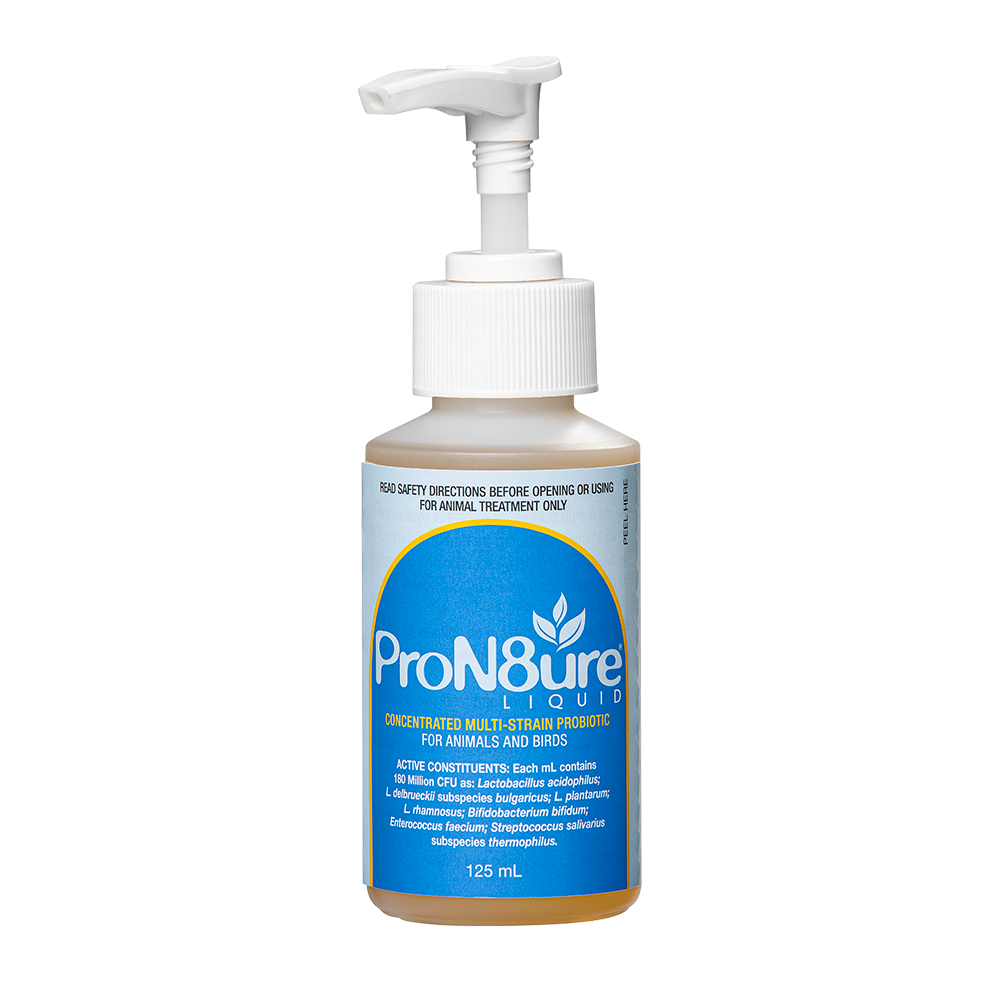 ProN8ure-Liquid Horse Probiotic Liquid in 250ml Bottle