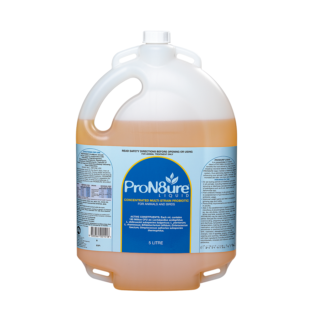 ProN8ure-Liquid Horse Probiotic Liquid in 5L Container